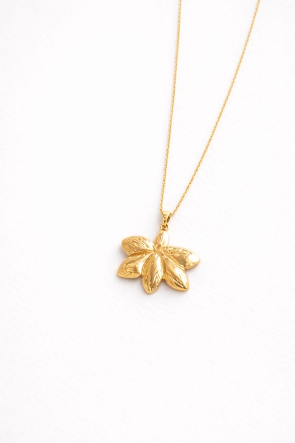 Cadena  petalo dorada