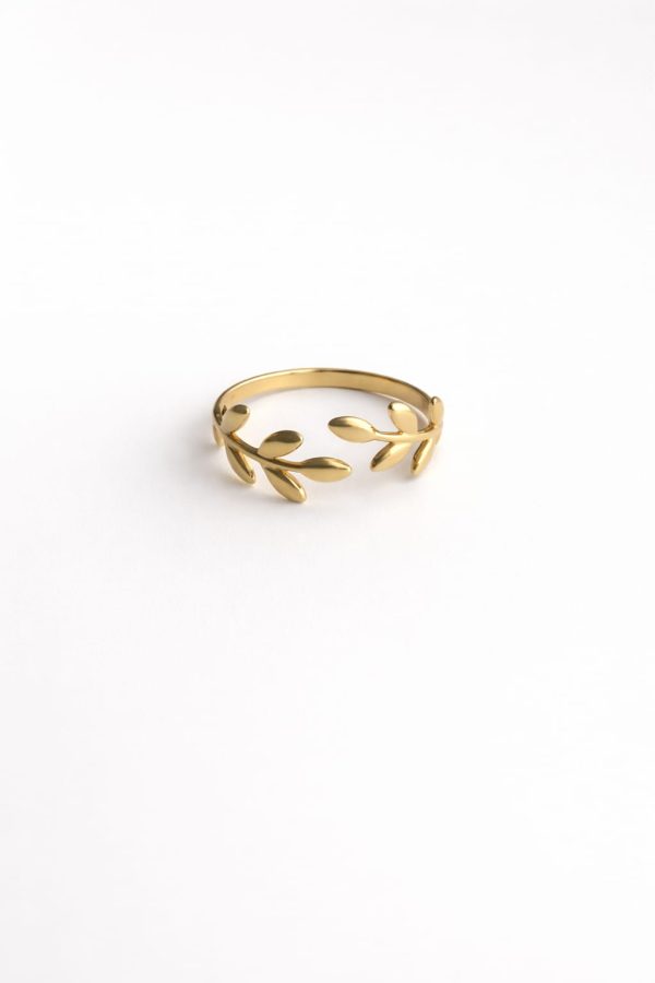 Anillo diseño hojas pequeñas golfi dorado