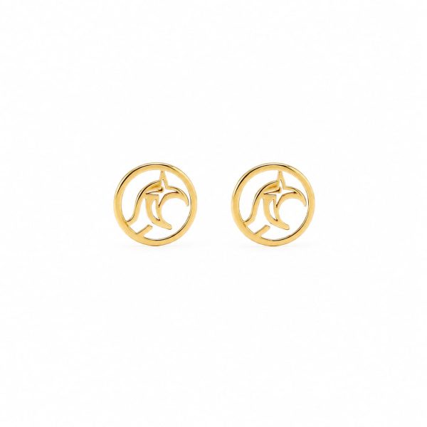 ARPCLD10016-1 Aretes pequeños circulo luna dorado
