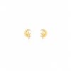 Aretes pequeños luna dorado