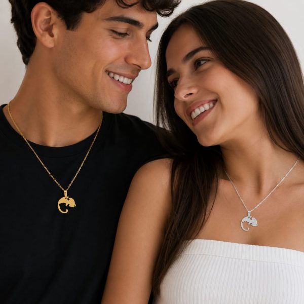 Cadena pareja dije camaleón dorado y plateado
